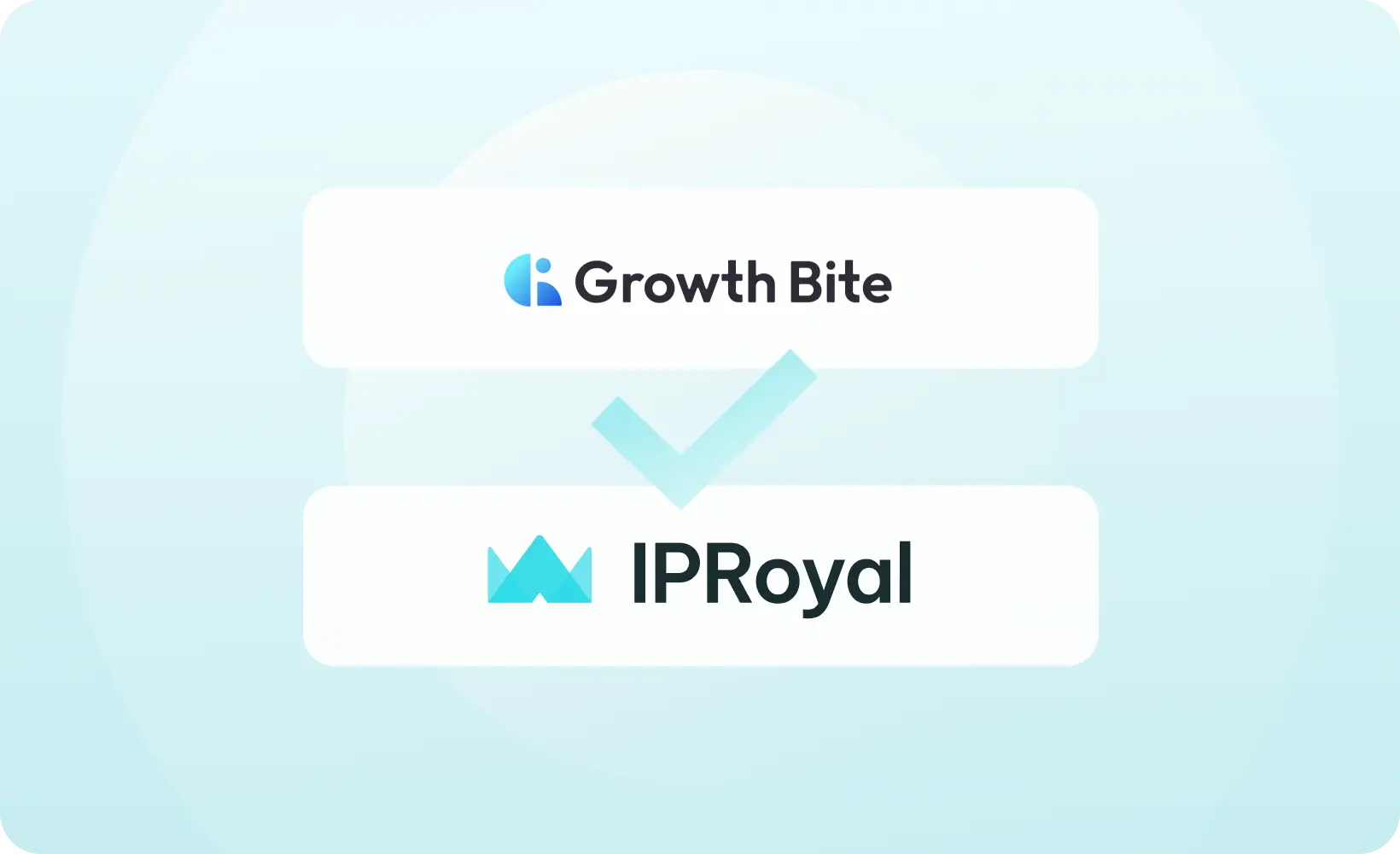 Growth Bite Boosts Client ROI by 24% With IPRoyal Proxies
