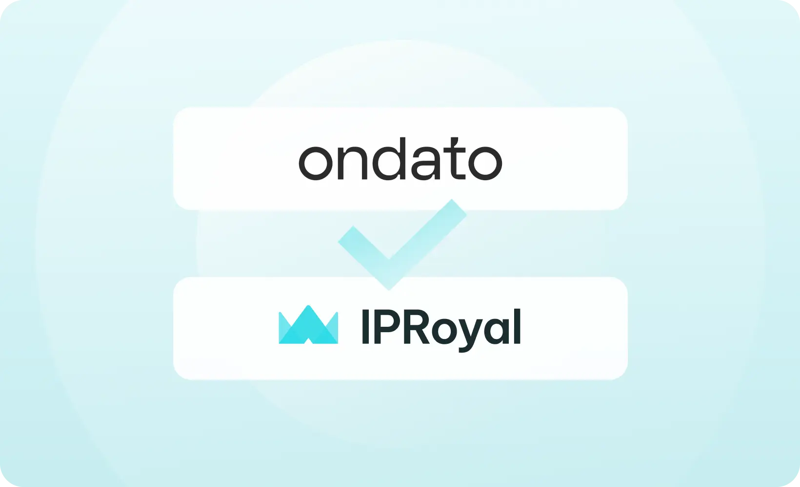 Geo-targeted SERP Insights Help Ondato Boost Marketing