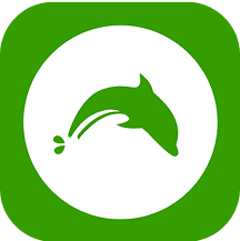 Dolphin