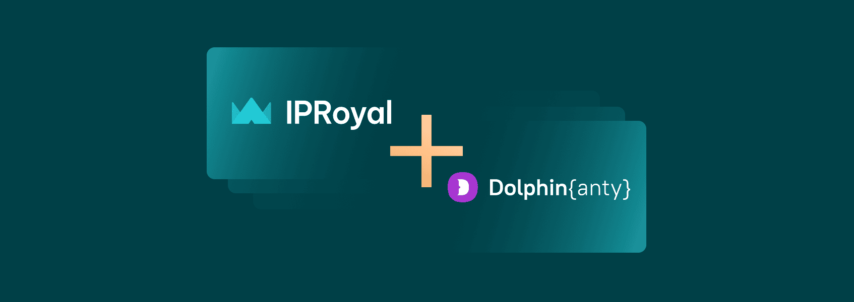 How to Set Up a Dolphin Proxy With IPRoyal