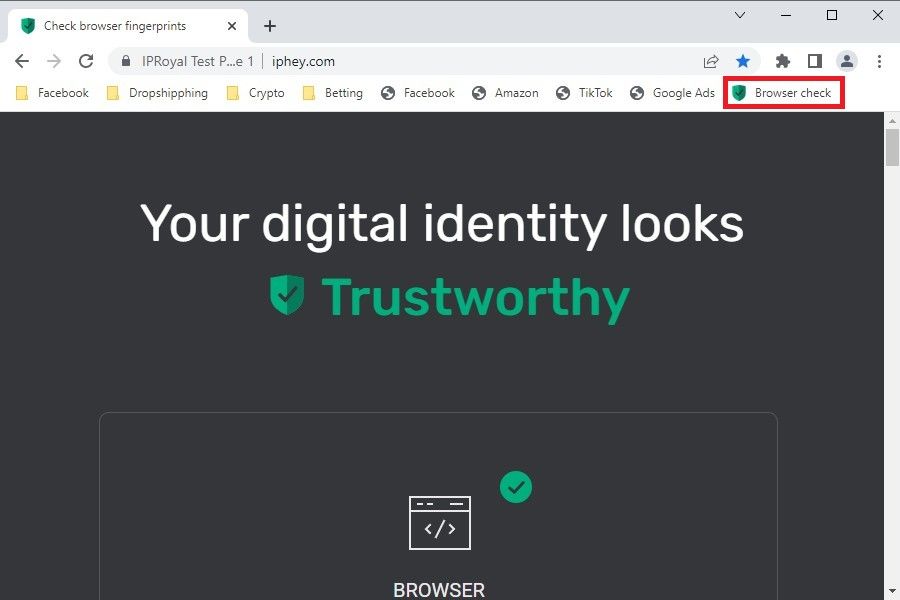 check your digital identity in GoLogin