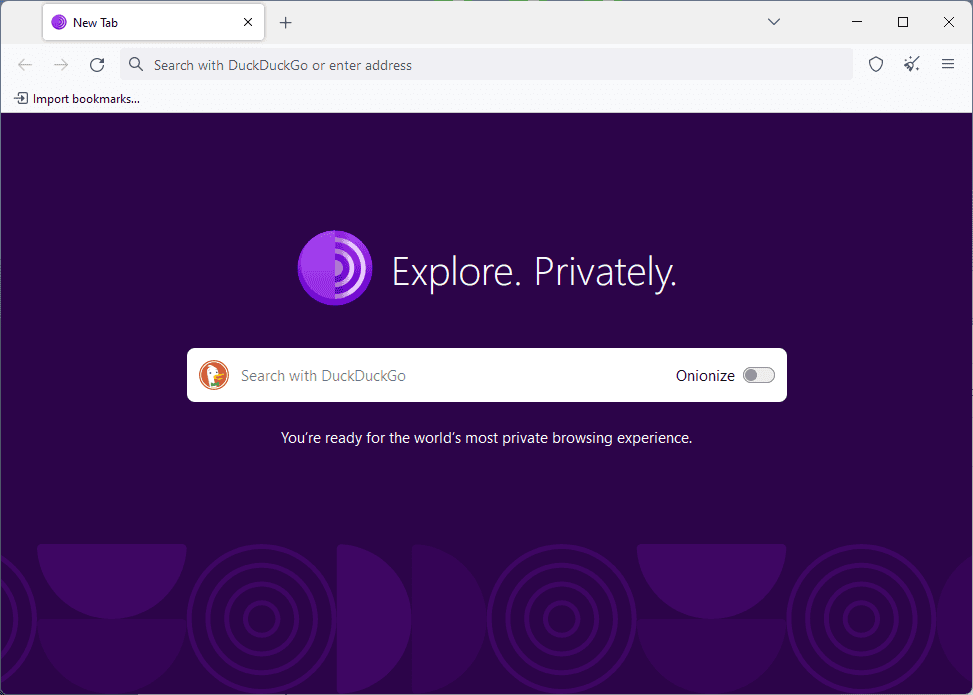 Tor browser homepage after connecting to the network successfully